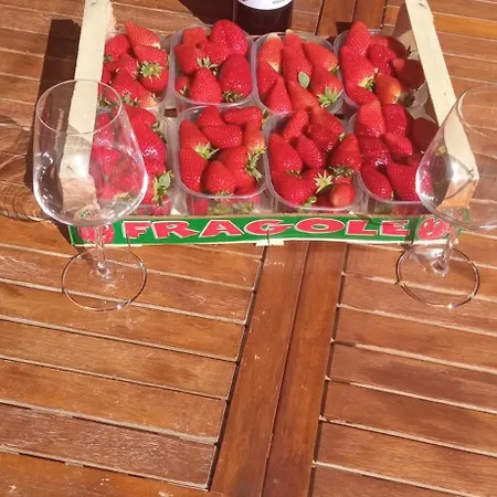 Apartment Difesa *