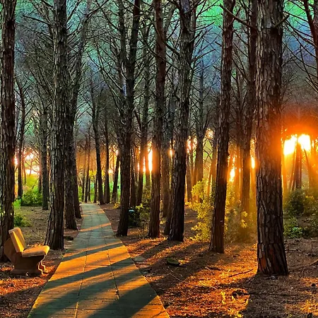 Appartamento Sorriso Sul Mare *