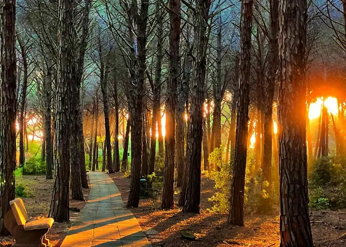 Appartamento Sorriso Sul Mare *