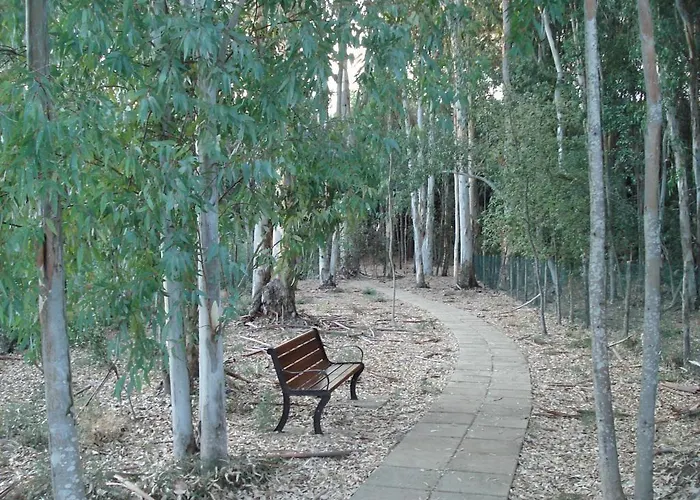 Sorriso Sul Mare Appartamento